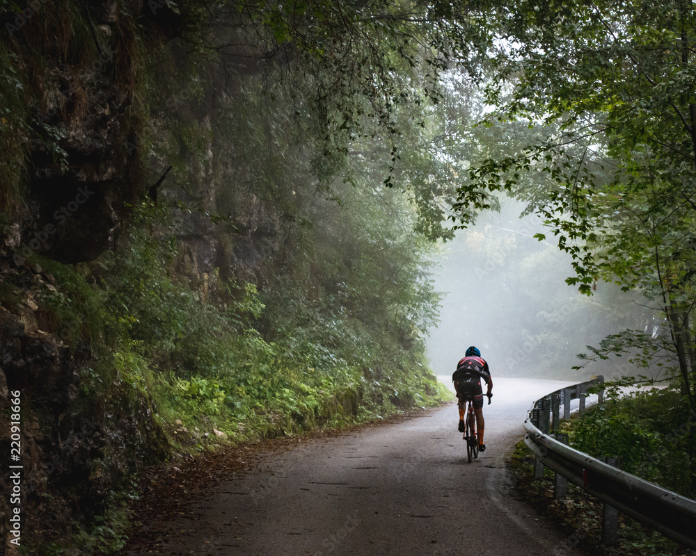 Obraz premium Fogbro