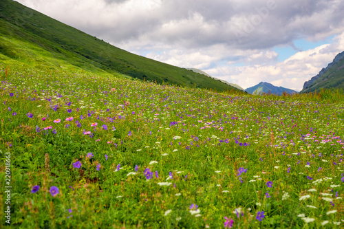 Panoramic view of Caucasian mountains with fresh green meadows in bloom on a cloudy day, Sochi, Russia