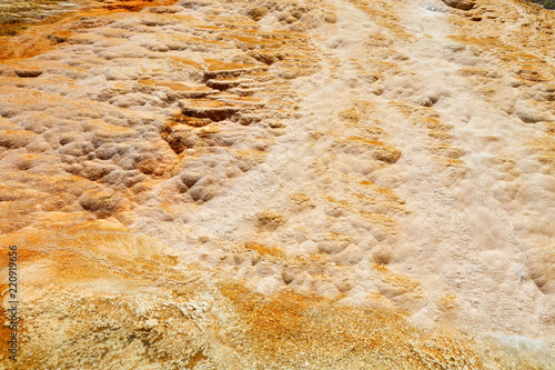 Lower Terraces Area, Mammoth Hot Springs, in Yellowstone National Park Wyoming, USA