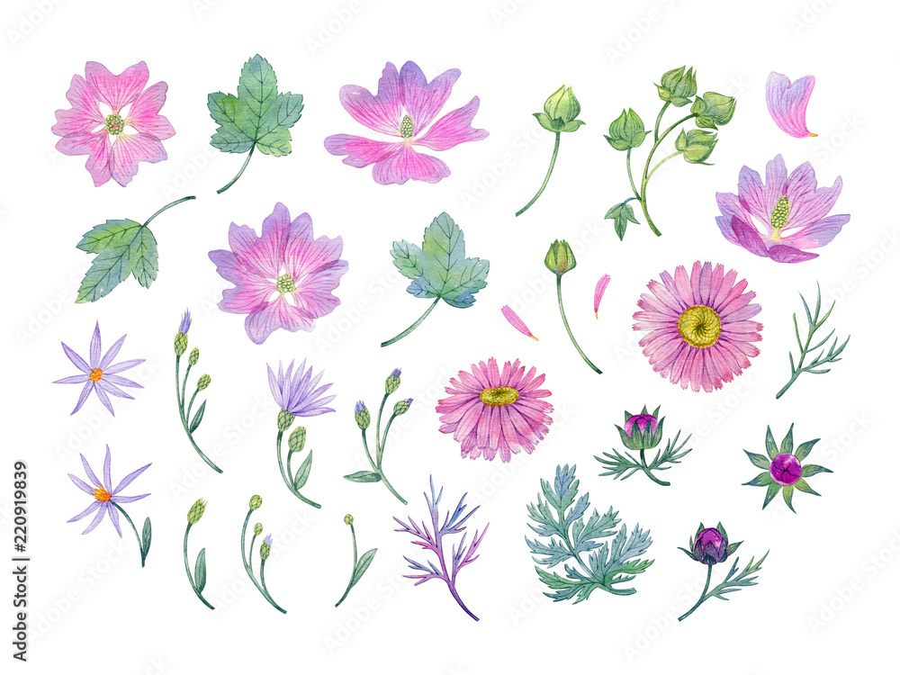 pink flowers pink flowers