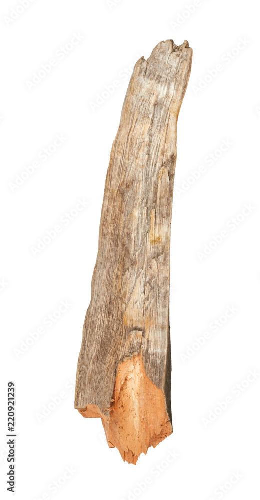 Tree stick isolated on white background Tree stick isolated on white background