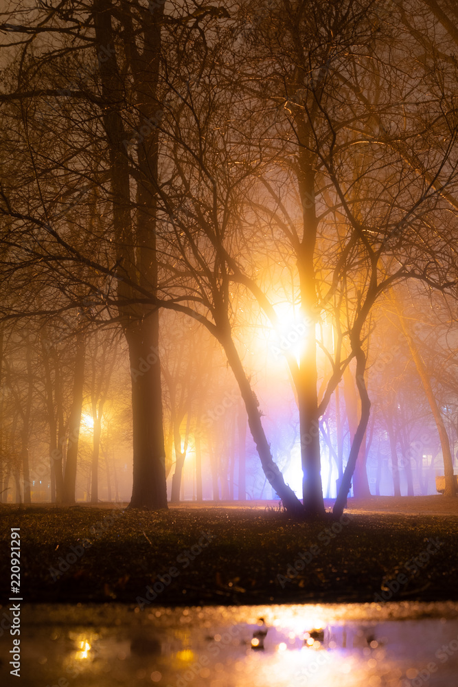 Alley of the evening misty park with burning lanterns, trees and benches. Night city autumn park