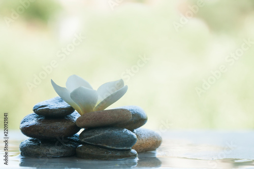 Flower in stones outdoors with sunlight on white background.