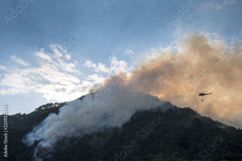 Aerial firefighting with helicopter on a big wildfire in a pine forest © Arcansél