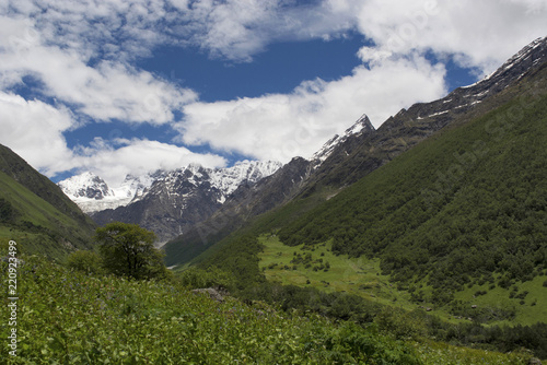 Fototapeta Naklejka Na Ścianę i Meble -  Landscape with mountain backdrop, Valley of Flowers, Uttarakhand, India