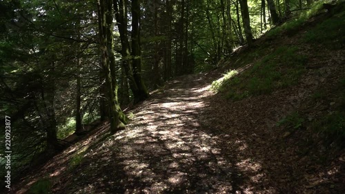 Way of santiago in the pirneos by valcarlos