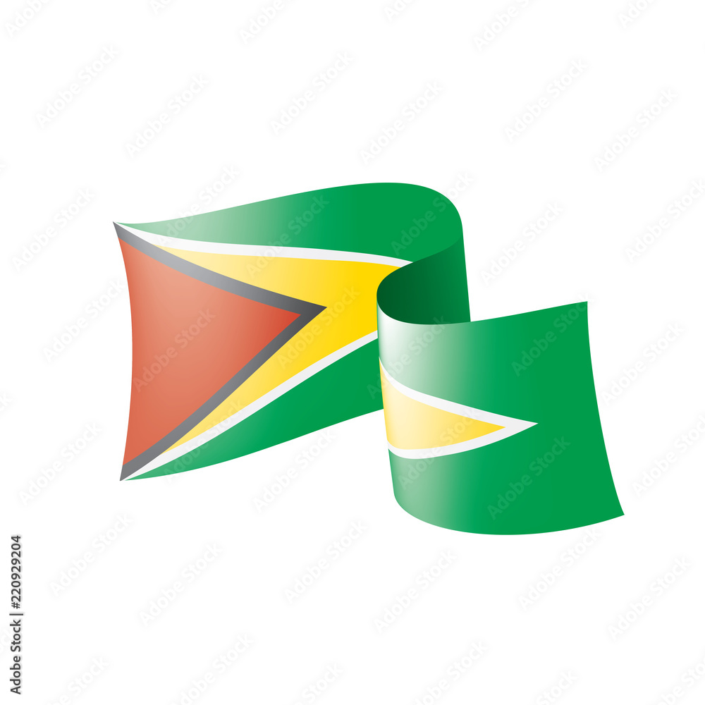 Obraz premium Guyana flag, vector illustration on a white background