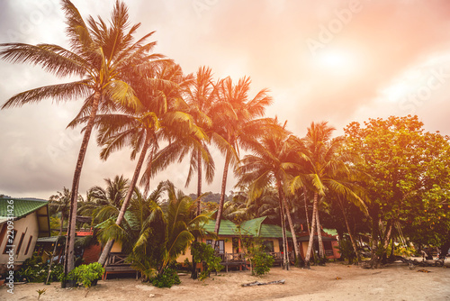 Tablou canvas Beautiful tropical beach with palm trees. Daylight