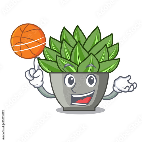 With basketball character cartoon pot plant echeveria cactus