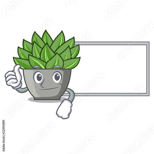 Thumbs up with board character cartoon pot plant echeveria cactus