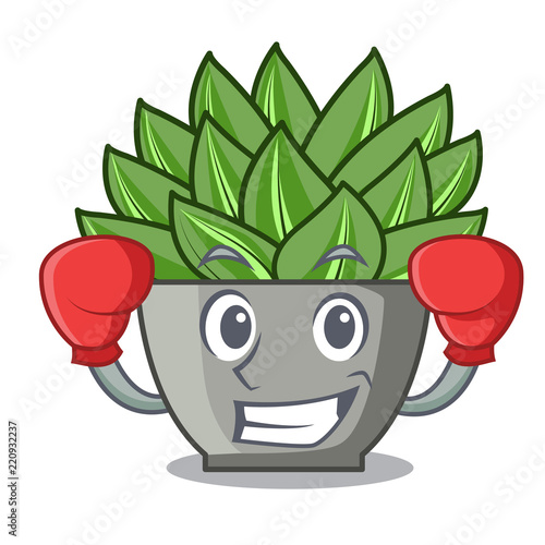 Boxing character cartoon pot plant echeveria cactus