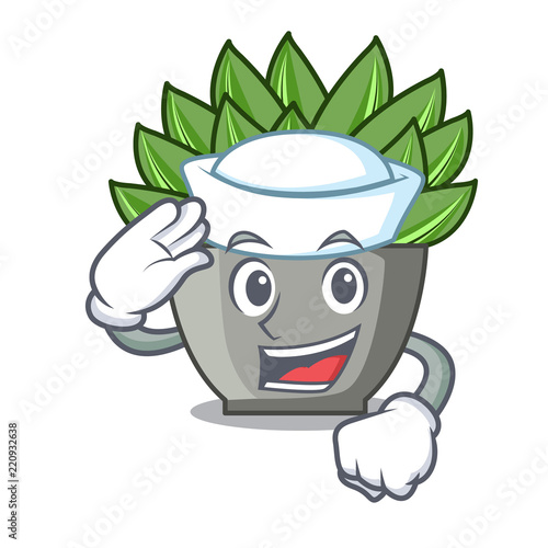 Sailor character cartoon pot plant echeveria cactus