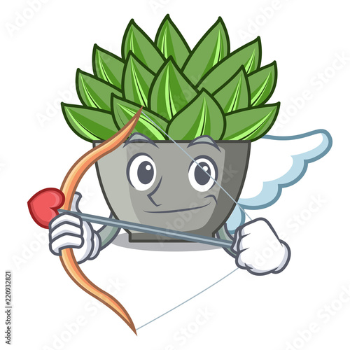 Cupid character cartoon pot plant echeveria cactus