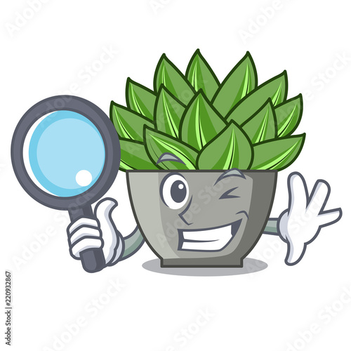 Detective view of green echeveria cactus cartoon