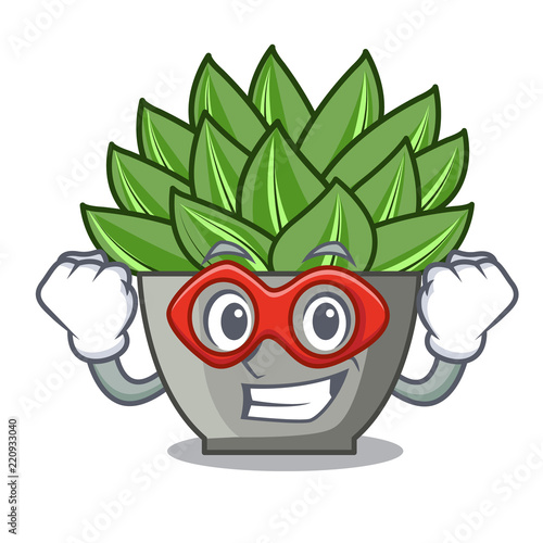 Super hero view of green echeveria cactus cartoon