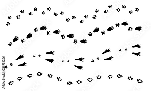 Paw vector foot trail print of dog, cat, bear, rabbit set. Silhouette animal diagonal tracks for t-shirts, patterns, showcases design, cards, child prints and etc. Paw brushes are in brush menu.