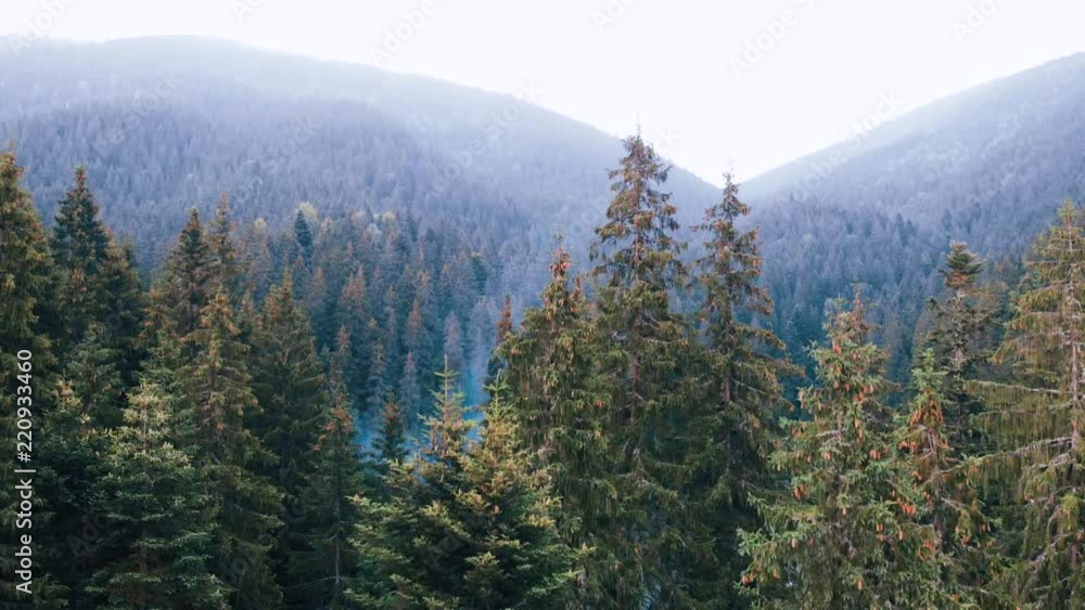 beautiful aerial view of the mountains and the blue lake, summer time, the coniferous forest, Best place in, tourism and nature concept, the Carpathians Ukraine beautiful aerial view of the mountains and the blue lake, summer time, the coniferous forest, Best place in, tourism and nature concept, the Carpathians Ukraine