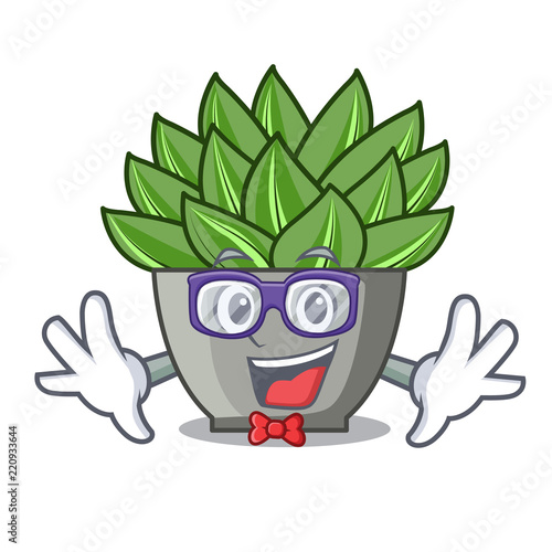 Geek view of green echeveria cactus cartoon