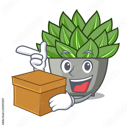 With box view of green echeveria cactus cartoon