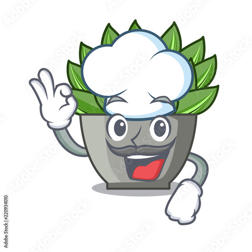 Chef view of green echeveria cactus cartoon