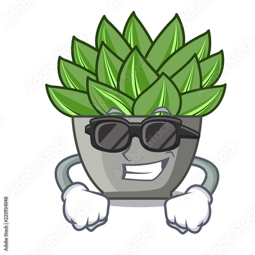 Super cool view of green echeveria cactus cartoon