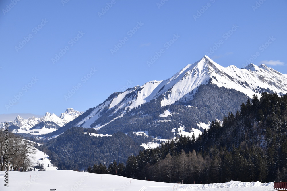 Montagne Suisse 2018