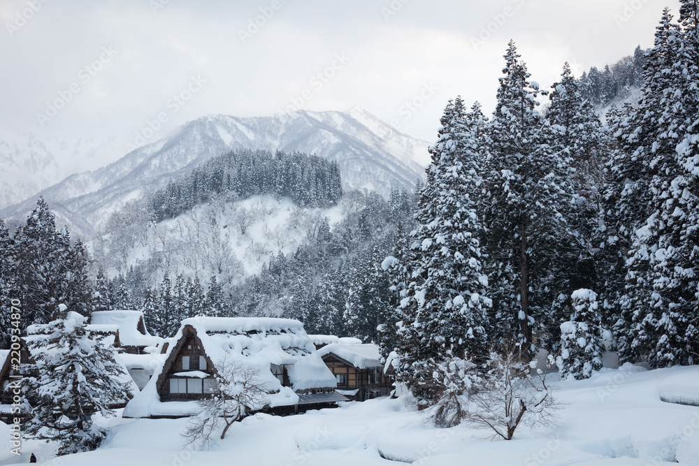 富山県 相倉合掌造り集落 雪景色