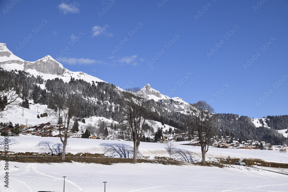 Montagne Suisse 2018