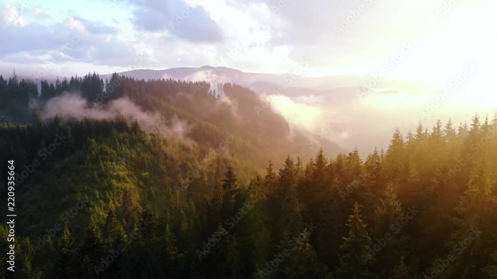 beautiful aerial view of the mountains and the blue lake, the sunset after the rain, the coniferous forest, the purple clouds, Best place in, tourism and nature concept, the Carpathians Ukraine