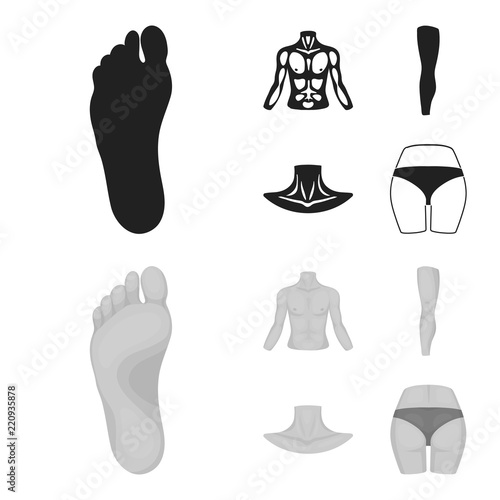 Torso, leg, neck and buttocks. Body parts set collection icons in black,monochrome style vector symbol stock illustration web.
