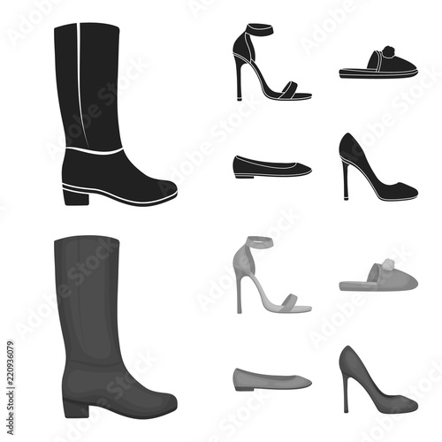 Blue high-heeled sandals, homemade lilac slippers with a pampon, pink women s ballet flats, brown high-heeled shoes. Shoes set collection icons in black,monochrome style vector symbol stock