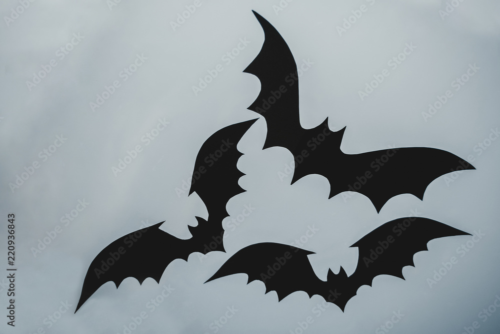 A bat on the window, an ornament for Halloween. A bat on the window, an ornament for Halloween.