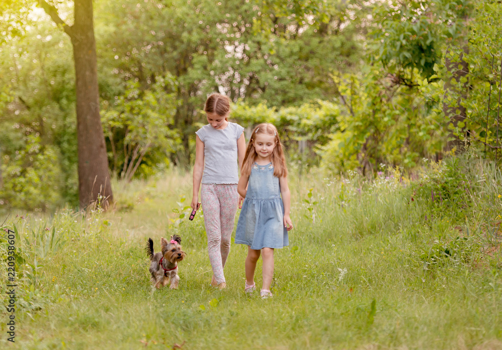 Obraz premium Two sisters playing with little Yorkshire terier sunny day