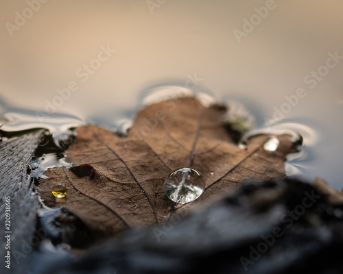 Wallpaper Mural Droplet Torontodigital.ca