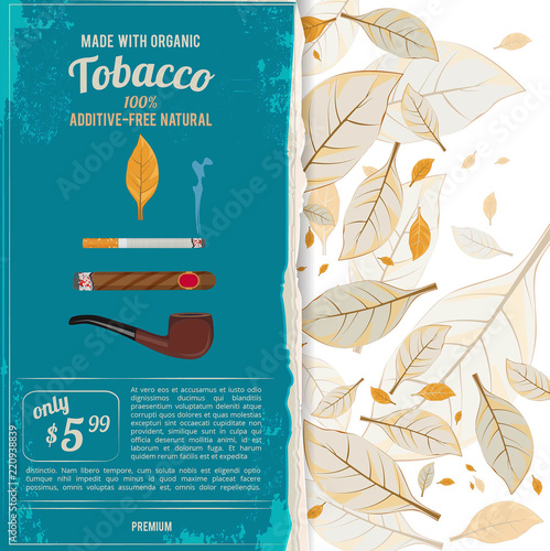 Background illustrations with tobacco leafs, cigarettes and various tools for smokers. Tobacco and nicotine, smoke cigar or cigarett, vector illustration