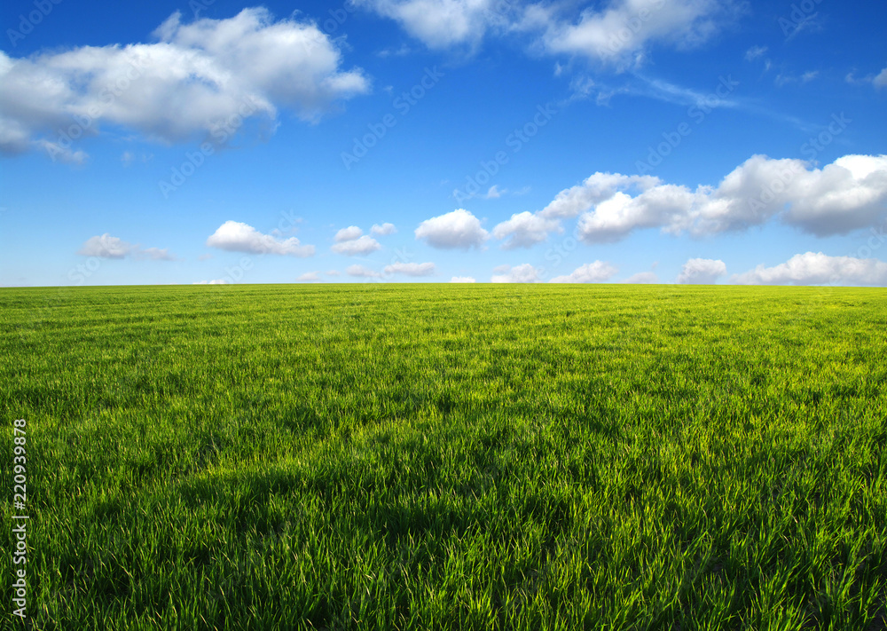 green field and clouds