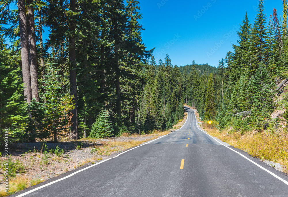 scenic view of the road with forest and  with mountain background.