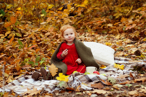 Beautiful little redhead girl in the Autumn Park 