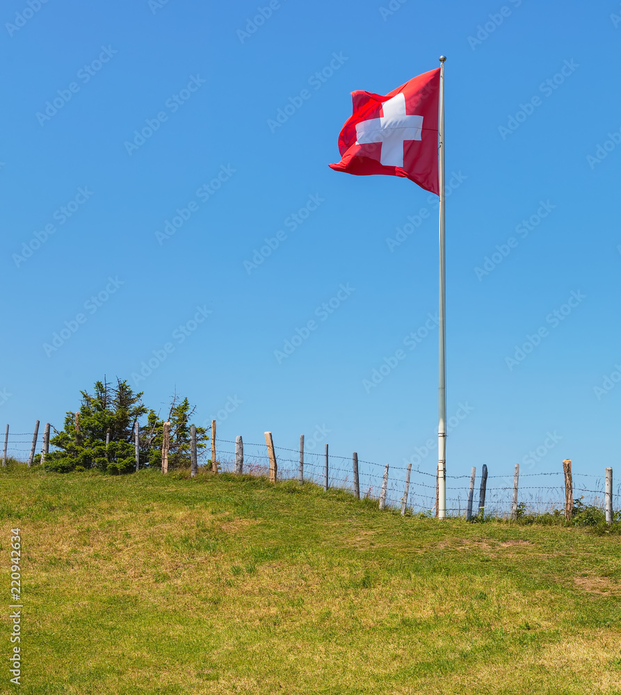 Flag of Switzerland on Mt. Rigi in Switzerland