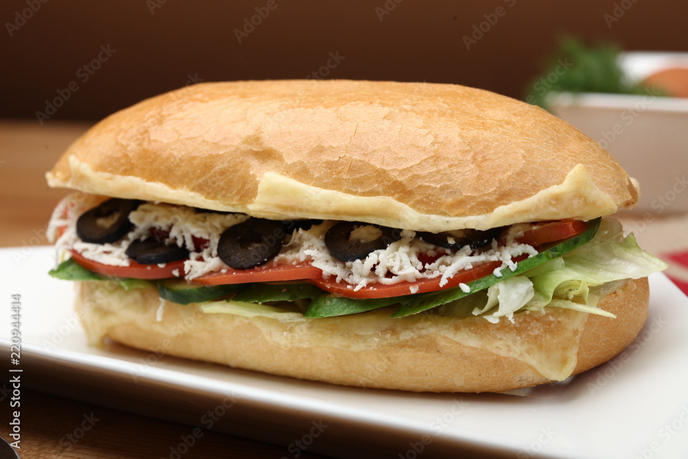 Vegetarian sandwich, ham sandwich, turkey sandwich, salami sandwich, franch sandwich, greek sandwich, italian sandwich, american sandwich, chicken sandwich Vegetarian sandwich, ham sandwich, turkey sandwich, salami sandwich, franch sandwich, greek sandwich, italian sandwich, american sandwich, chicken sandwich