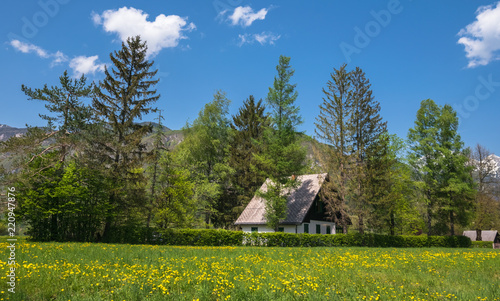 Wonderful nature, Walking trips in Triglav National Park near Ukanc and Waterfall Slap Savica, Bohinj Valley and Lake, Upper Carniolan, Slovenia, Europe