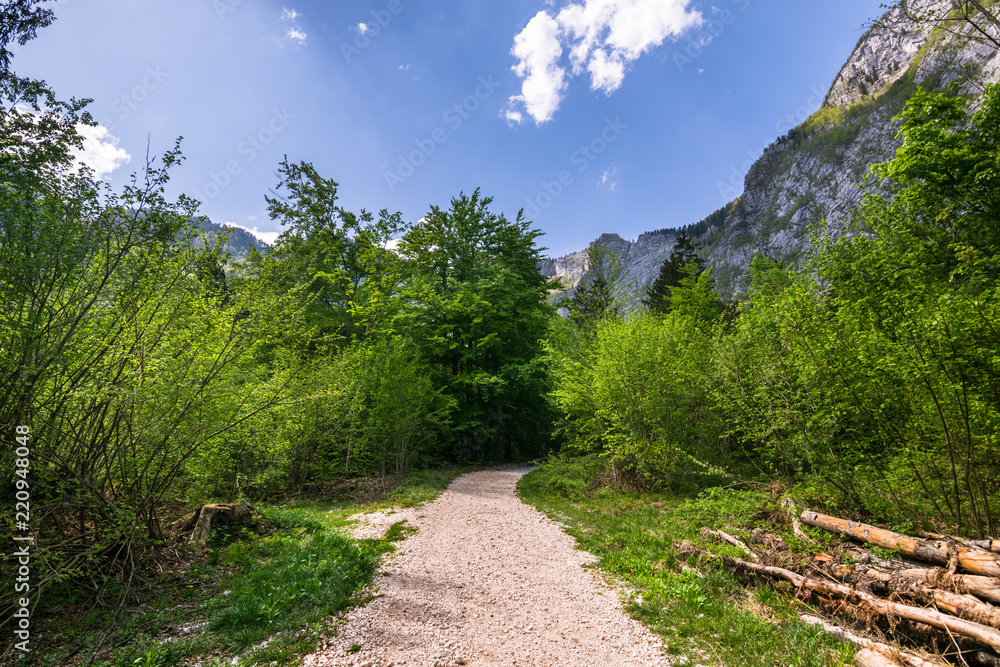 Wonderful nature, Walking trips in Triglav National Park near Ukanc and Waterfall Slap Savica, Bohinj Valley and Lake, Upper Carniolan, Slovenia, Europe Wonderful nature, Walking trips in Triglav National Park near Ukanc and Waterfall Slap Savica, Bohinj Valley and Lake, Upper Carniolan, Slovenia, Europe