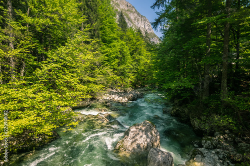 Wonderful nature  Walking trips in Triglav National Park near Ukanc and Waterfall Slap Savica  Bohinj Valley and Lake  Upper Carniolan  Slovenia  Europe