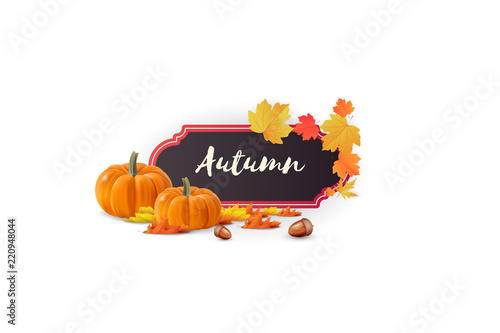 Autumn abstract frame layout decorate with leaves for shopping sale or promo poster and frame leaflet or web banner.Vector illustration