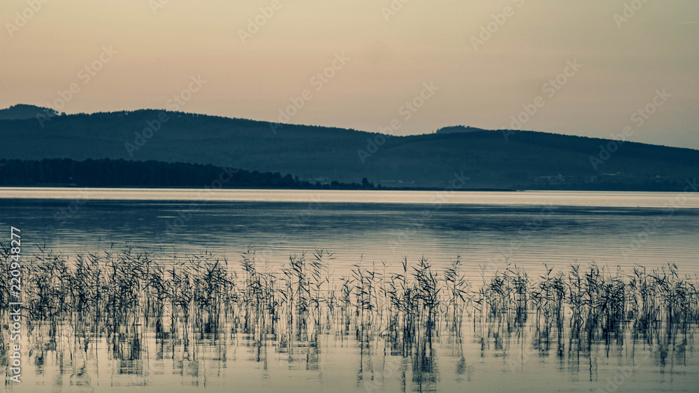 Naklejka premium Landscape