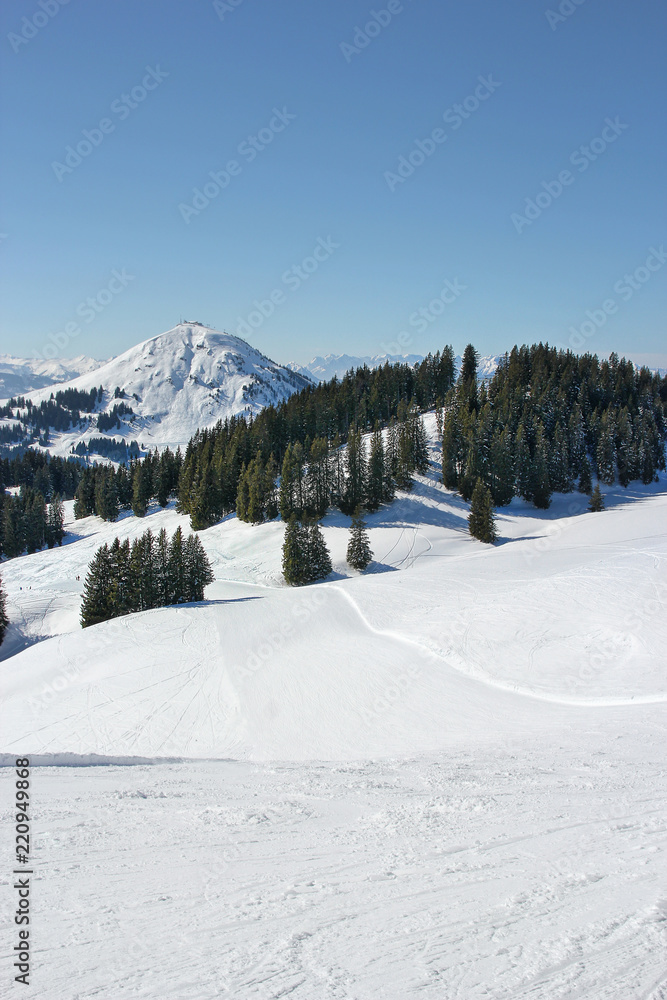 Fototapeta premium ski piste with mountains and trees