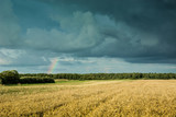 Dark clouds and rainbow over the forest and field