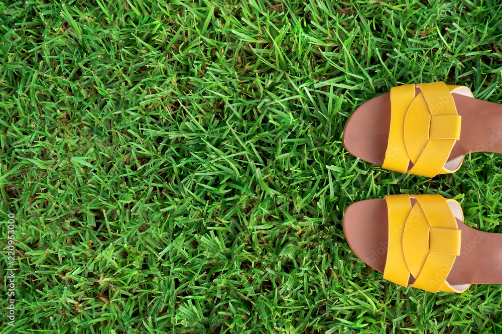 Yellow sandals on green lawn