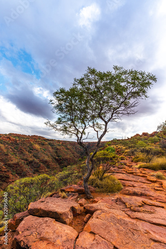 Kings Canyon