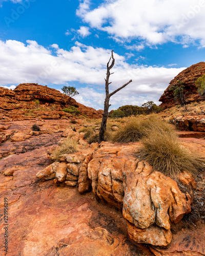 Kings Canyon